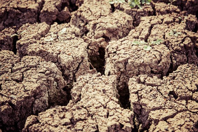 arid-barren-degradation-96865