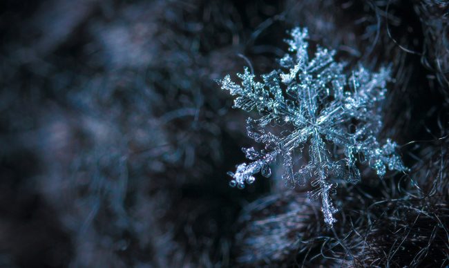 blur-close-up-cold-813872