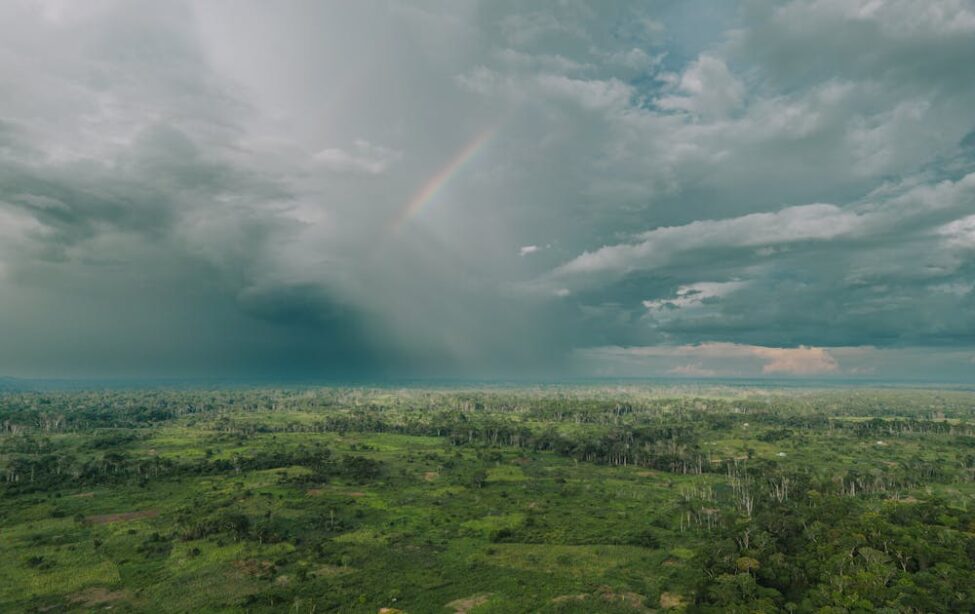 pexels-kelly-1179532-17291028(1)